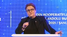 ŞANLIURFA - Bakan Yanık: ''Anadolu topraklarının kadınları üretkendir''
