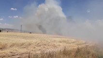 GAZİANTEP - 120 dönüm buğday ekili alan yandı