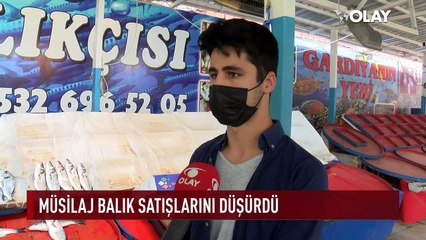 Balık satışlarına müsilaj darbesi