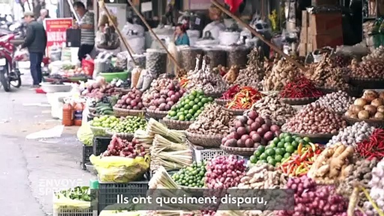 De 25 euros le kilo en République démocratique du Congo à 500 euros au Vietnam, "Envoyé spécial" a enquêté sur le trafic des écailles de pangolin