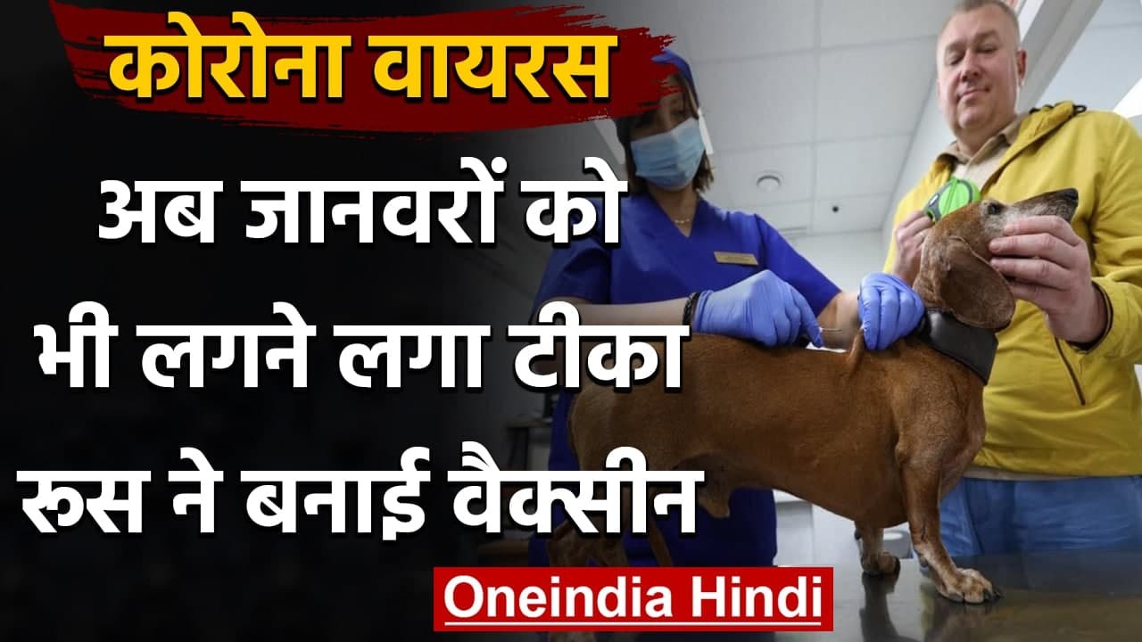 Corona Vaccination: Russia ने बनाई जानवरों के लिए दुनिया की पहली Corona Vaccine | वनइंडिया हिंदी
