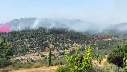 Firefighting plane battles blaze near Jerusalem