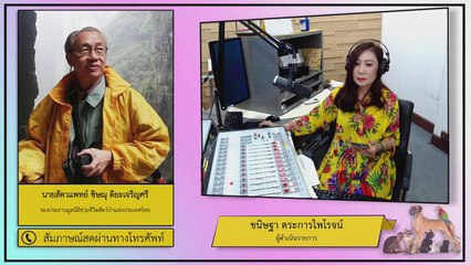 นักท่องเที่ยวรุมทุบหัวแมวน้ำจนสลบเหมือด ก่อนลากขึ้นฝั่งมาให้เด็กๆถ่ายรูปคู่ : FM91 คลินิกสัตว์เลี้ยง : 12 กรกฎาคม 2563