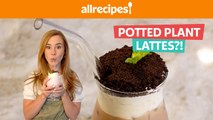We Tried the Cutest New Coffee Trend | Potted Plant Lattes?!