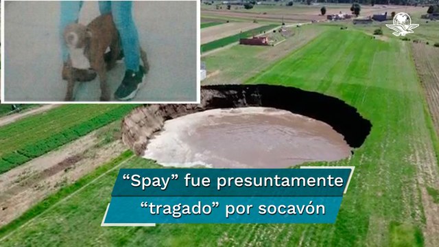 Cae perro pitbull en socavón de Puebla