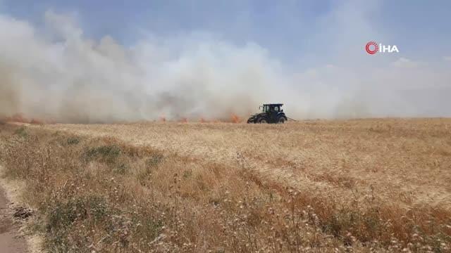 Araban'da 120 dönüm buğday tarlası yandı