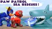 Paw Patrol Mighty Pups Charged Up Sea Rescues Pups Save the Funlings in this Family Friendly  Paw Patrol Toy Episode English Video for Kids from Kid Friendly Family Channel Toy Trains 4U