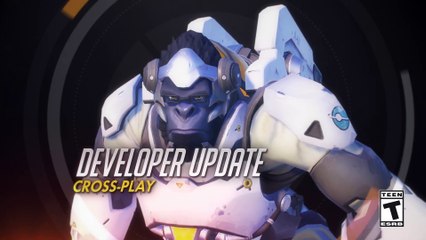 Developer Update   Cross-Play   Overwatch