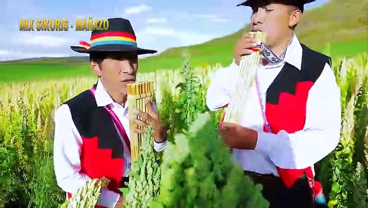 MIX SIKURIS UN SOLO BOMBO - ENGANCHADOS SIKURIS 2021 (EL RITMO DEL SIKU)