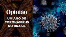 Opinião | Um Ano de Coronavírus no Brasil | 25/02/2021