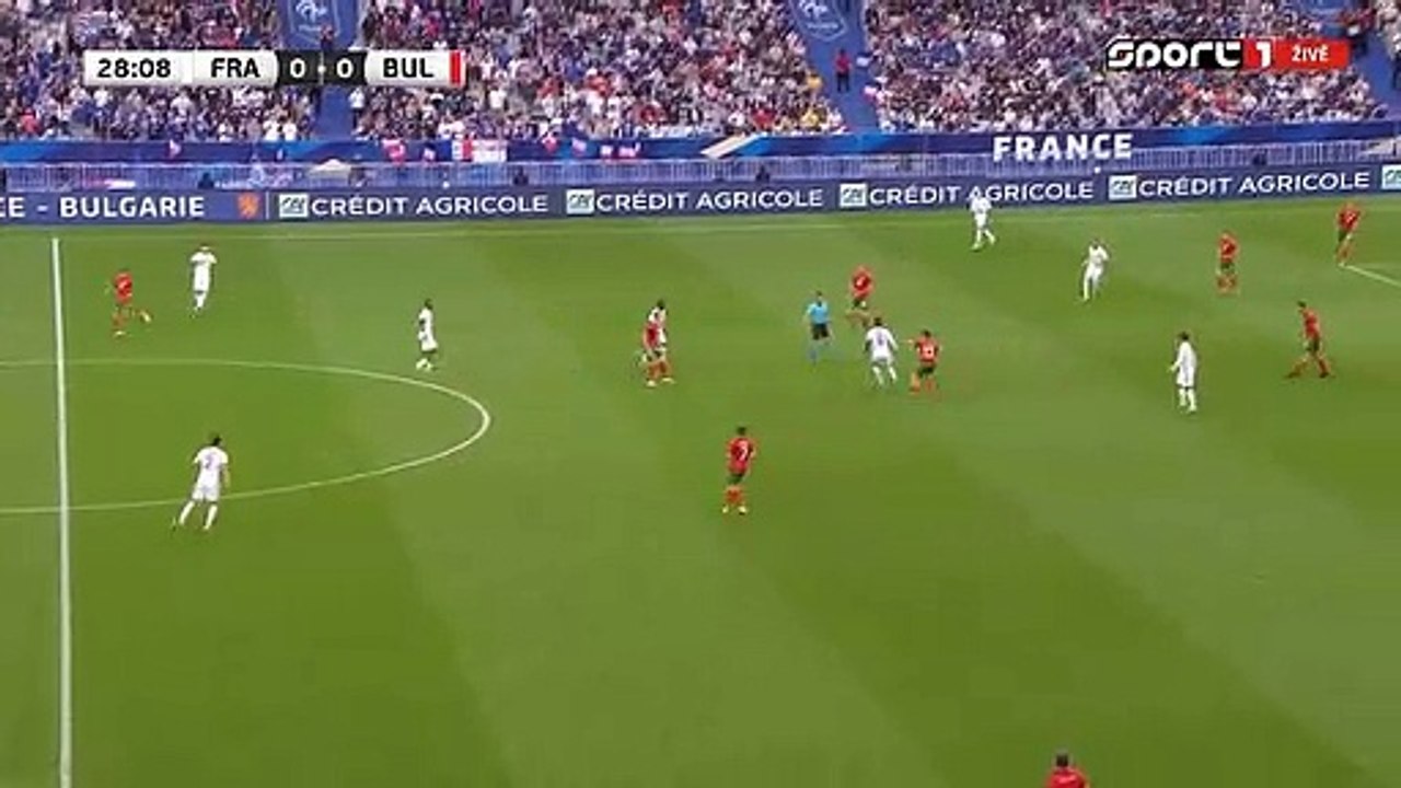 Goal - 1:0 - 29' Griezmann A., France