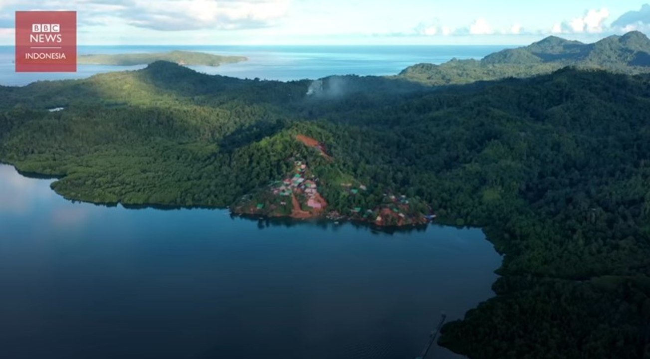 Tambang emas Pulau Sangihe mengancam hutan dan burung endemik yang hampir punah