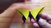 Origami Butterfly For Vog Tutorial (Michael Lafosse)