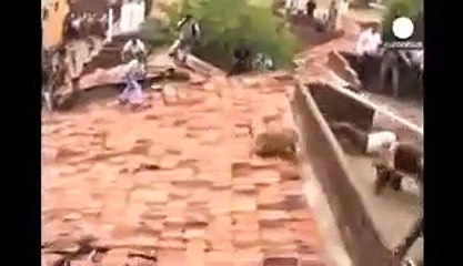 Leopar insanlara saldırıyor! İşte dehşet anları...