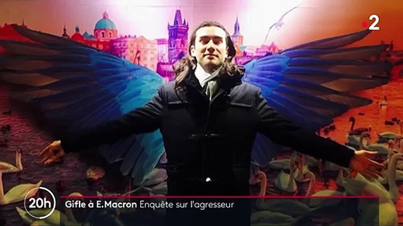 Emmanuel Macron giflé : qui est Damien Tarel, l'homme interpellé ?