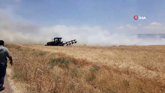 Araban'da 120 dönüm buğday tarlası yandı