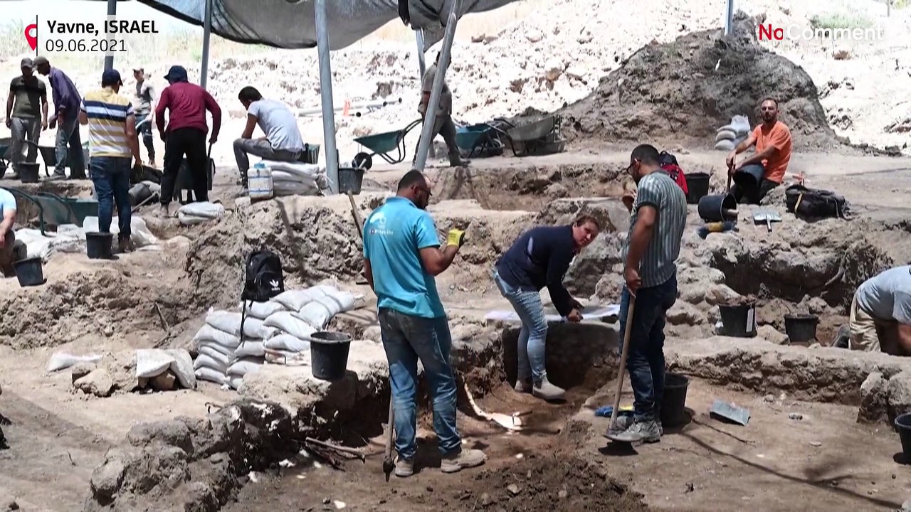 Découverte en Israël d'un œuf vieux de 1 000 ans