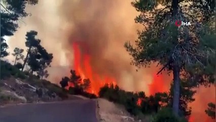 - Kudüs'te çıkan yangında 2 bin 650 dönüm arazi kül oldu