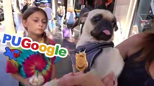 24 Hours Being Pregnant Challenge In Public With Twins **Funny Reactions** | Piper Rockelle