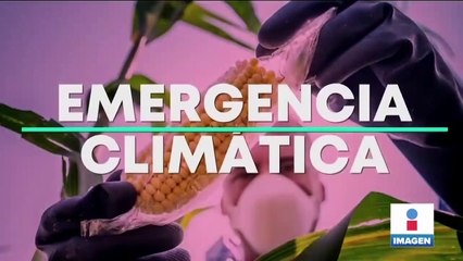 Anuncian reducción en el suministro de agua en el Valle de México