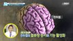 [HEALTHY] A wider stride is more effective in preventing dementia ?!, 기분 좋은 날 210610