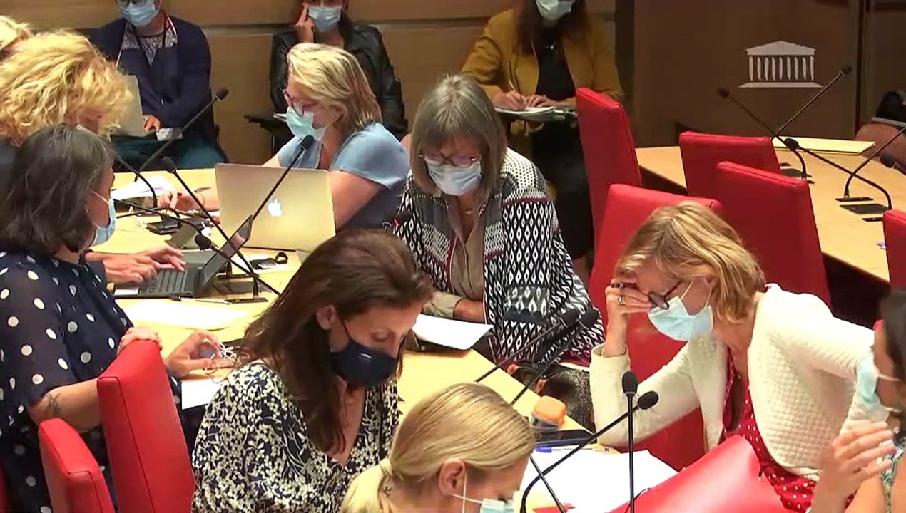 Commission des affaires sociales : Mme Élisabeth Borne, ministre du travail, de l’emploi et de l’insertion ; Mesures d’urgence en faveur des intermittents de l’emploi - Mercredi 9 juin 2021