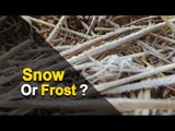 Winter In Daringibadi: It’s Frost Not Snow | OTV News