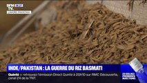 Le riz basmati au cœur d'un bras de fer entre l'Inde et le Pakistan