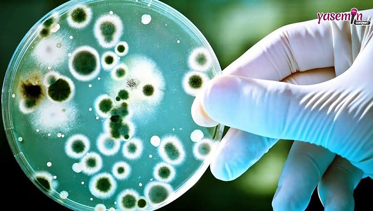 Bu hastalığa dikkat: Kara mantar nedir ve nasıl bulaşır? Kara mantar hastalığı belirtileri