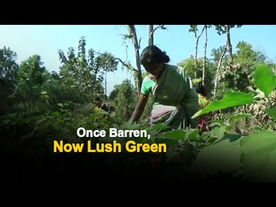 Villagers Undertake Irrigation Project To Transform Fields & Homes | OTV News