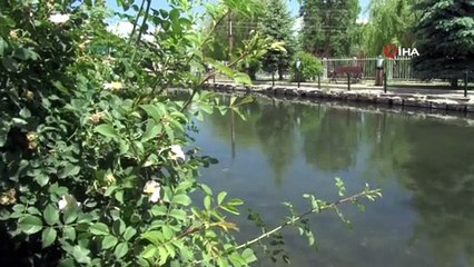 Her yer kuruyor, bu gölün su seviyesi artıyor