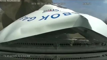 Un elefante enfurecido embiste una camioneta en una reserva de Sudáfrica