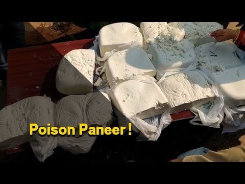 100 Kg Synthetic Paneer Seized In Odisha | OTV News