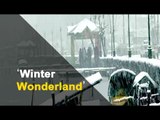 Snowfall in Kashmir Brings Cheers For Tourists | OTV News
