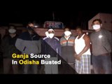 Police Unearth Root In Ganja Smuggling Link Between Odisha & Nagpur | OTV News