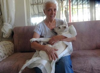 FELÇLİ KÖPEĞİNE BEBEK GİBİ BAKIYOR