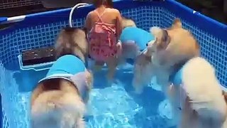 Try not laugh_Summer!  where have you been_funny summer fails_[have fun with us]