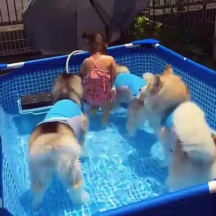 Try not laugh_Summer!  where have you been_funny summer fails_[have fun with us]