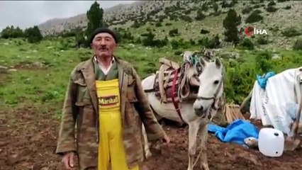Münevver teyzenin yol isteği gerçek oldu
