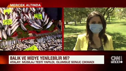 Deniz salyası varsa balık yenir mi? Bakanlığın sonuçları çıktı