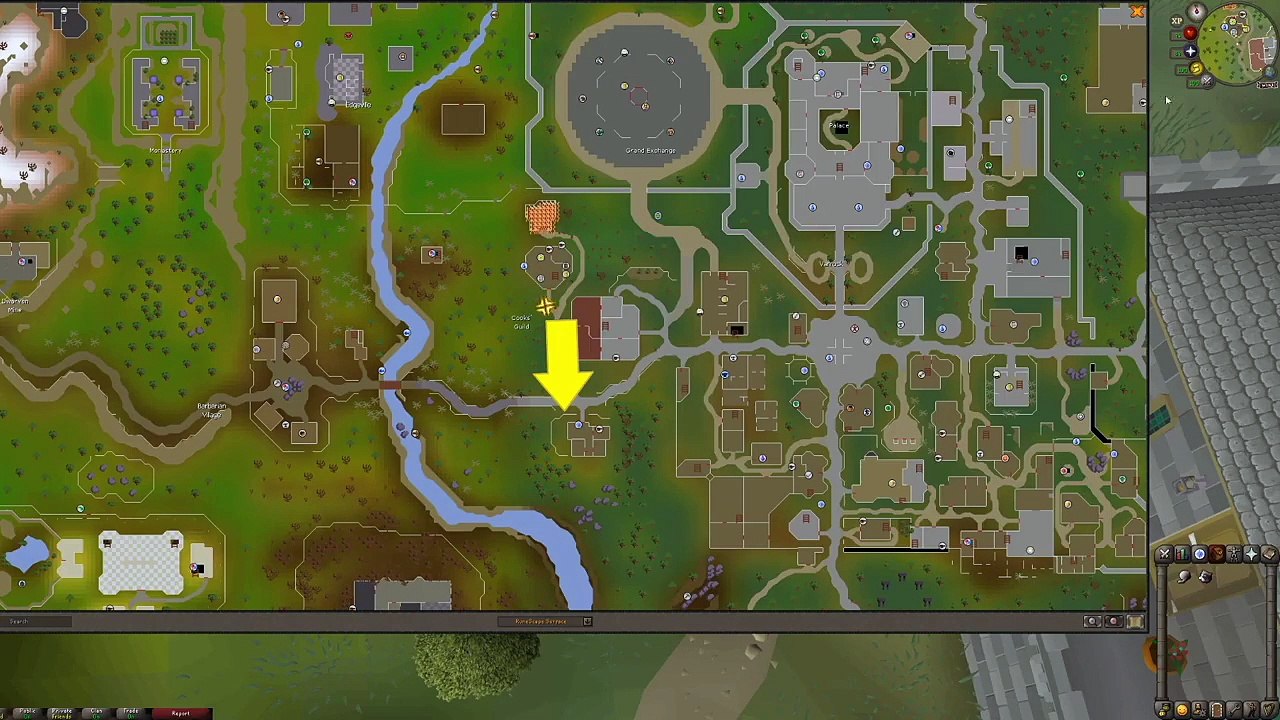 How To Grow A Kitten Into A Cat Osrs 2007 video Dailymotion