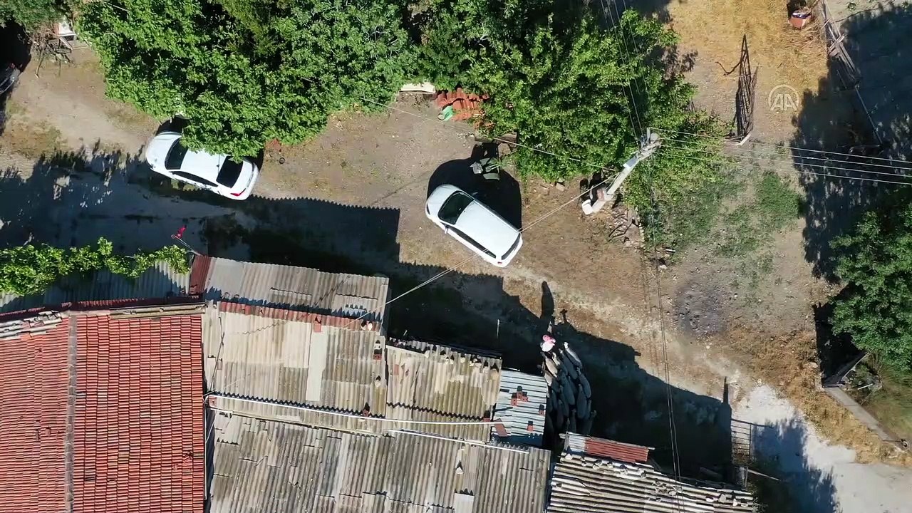 ÜRETİMDEN İHRACATA TARIM - Sakız koyunu yetiştiriciliğe adanmış bir ömür: Ekrem Çelik