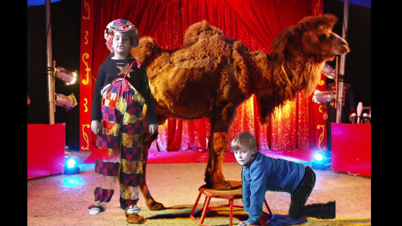 Le yoga fait son cirque