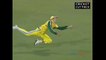 Best Catches in Cricket History || Amazing Flying Catches