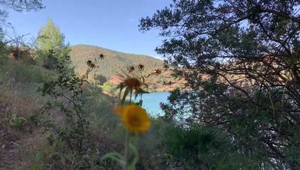 منظر رائع من سد الوحدة