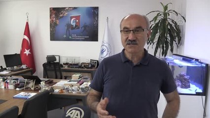 Marmara Denizi'nin müsilajdan kurtarılması için "acil eylem planı"nın uygulanması önemli  (1)