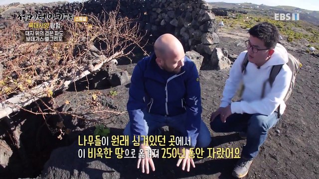 세계테마기행 - 북대서양 탐험- 불의 땅 미지의 섬, 카나니아 제도_#003