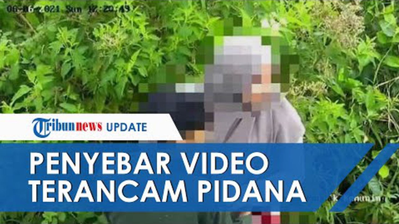 Kekasih yang Kepergok Ciuman di Kebun Teh Kemuning Berstatus Korban, Penyebar Video Terancam Pidana