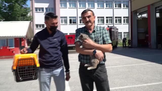 Son dakika haberi: Sattıkları aracın motor bölümüne giren kedi yavrusunu Düzce'de teslim aldılar