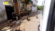 Video de Un Perro Corriendo Tras Una Ambulancia Con Su Dueña Dentro Te Conmoverá